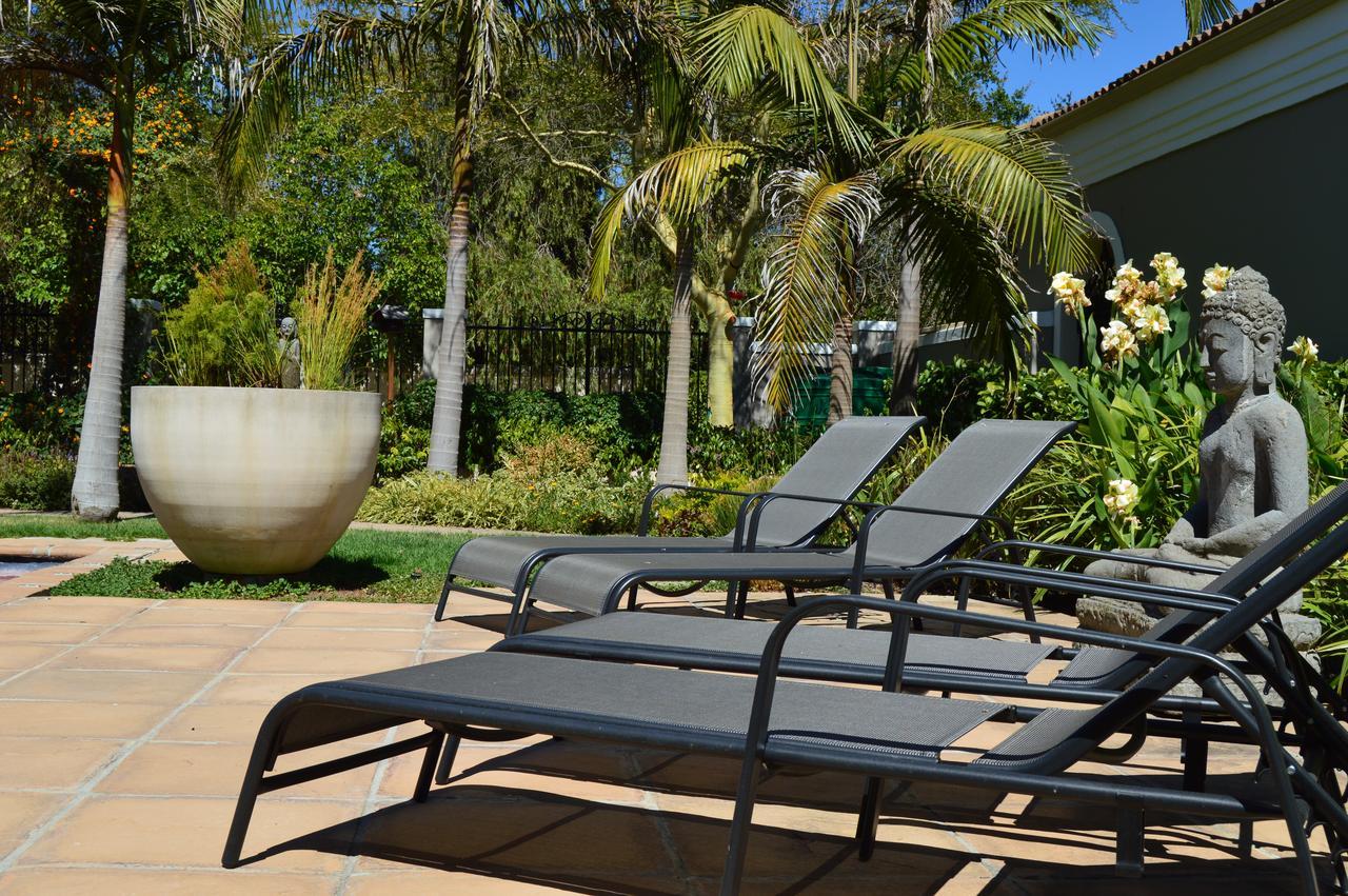 African Palm Cottage And Guesthouse Durbanville Buitenkant foto