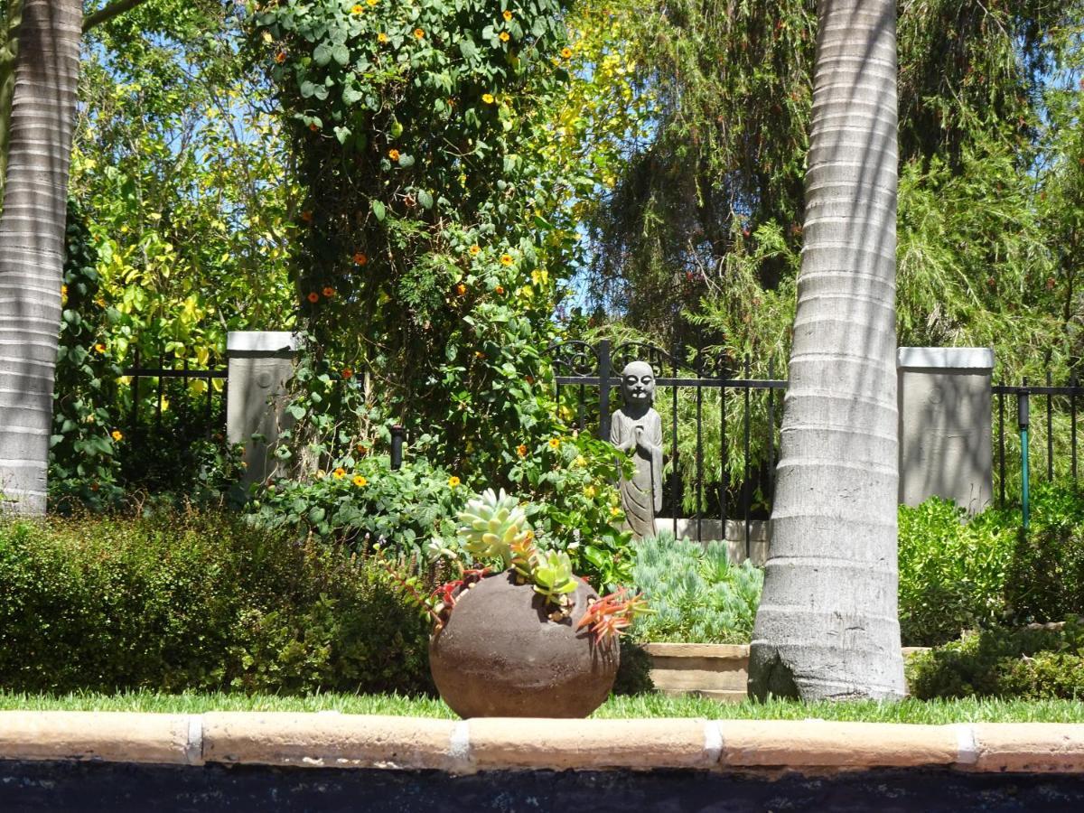 African Palm Cottage And Guesthouse Durbanville Buitenkant foto